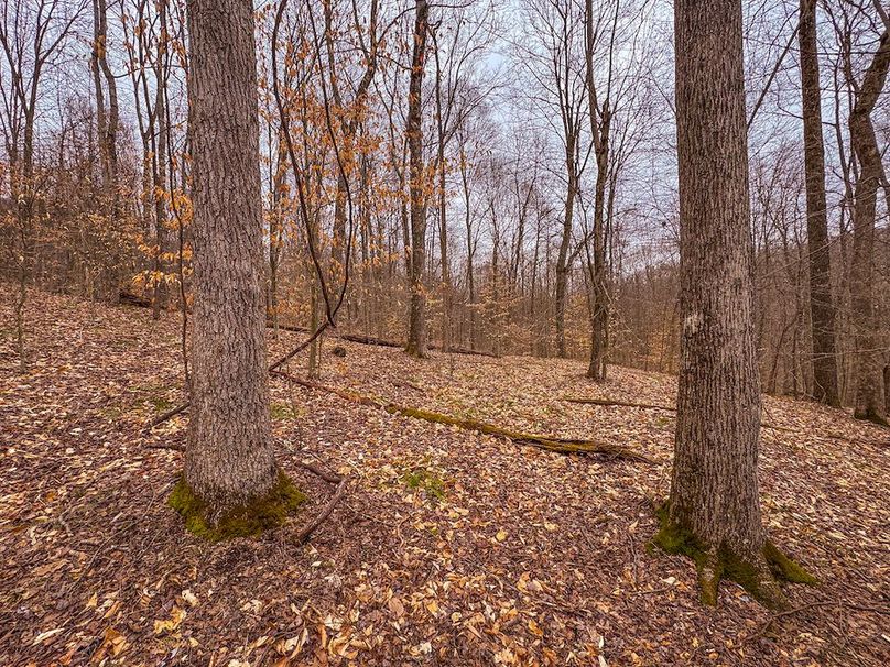 Tyler, WV 90 AC Burkhart-35