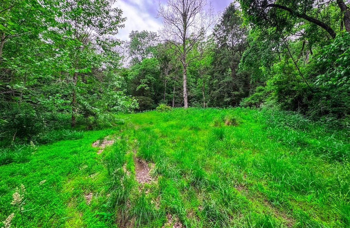 Tyler, WV 313.87 AC -03