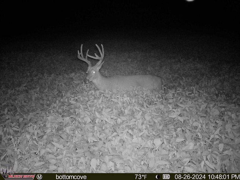 blackgate-media_47511414444841