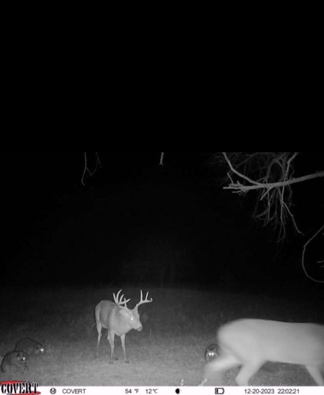 Screenshot_20231220_221943_CovertWireless