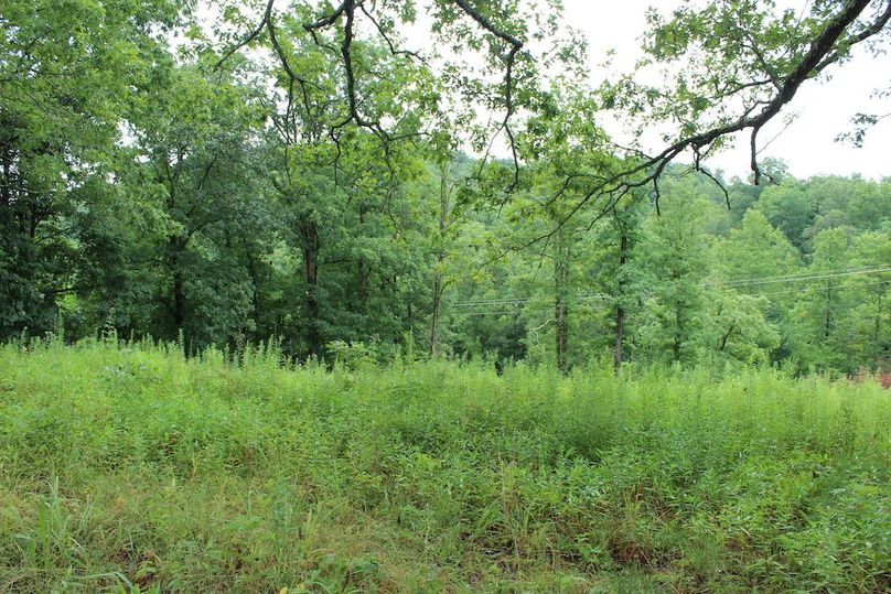 011 overgrown field in the south area