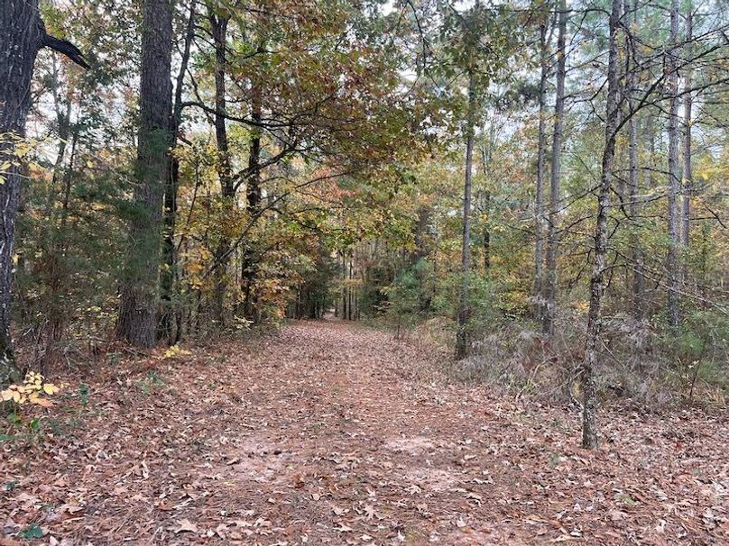 Dal_40_Denton20251117_0344