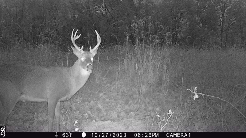 trail cam7