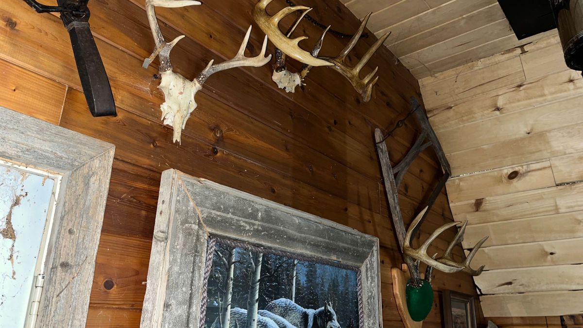 Northern Wisconsin High Ground Hunting Land For Sale Whitetail Properties