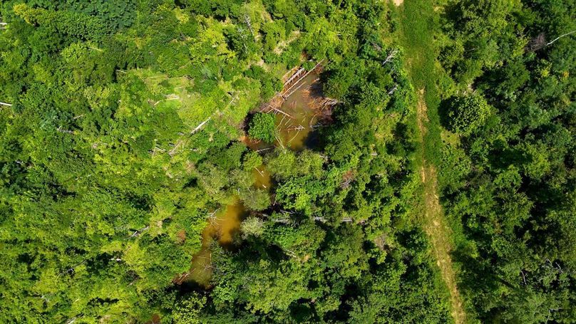 Sequence 10.00_14_53_18.Still040