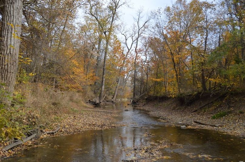 1 river view looking south