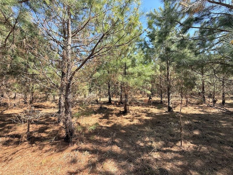 A09F4731-6BB4-4C52-A25A-216BBCA5CEE9