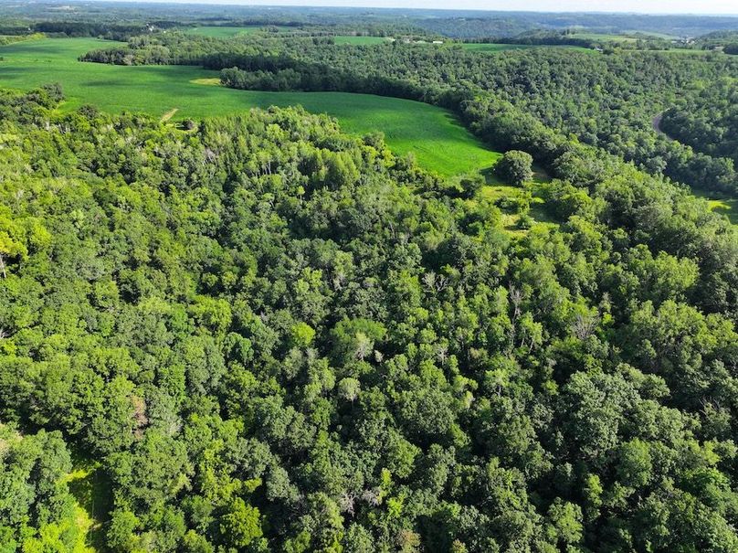 DJI_20240718094329_0006_D