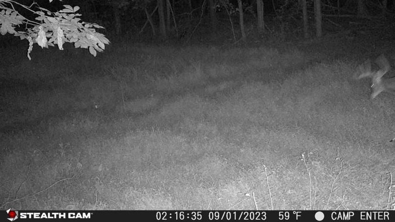 23090102163401000189