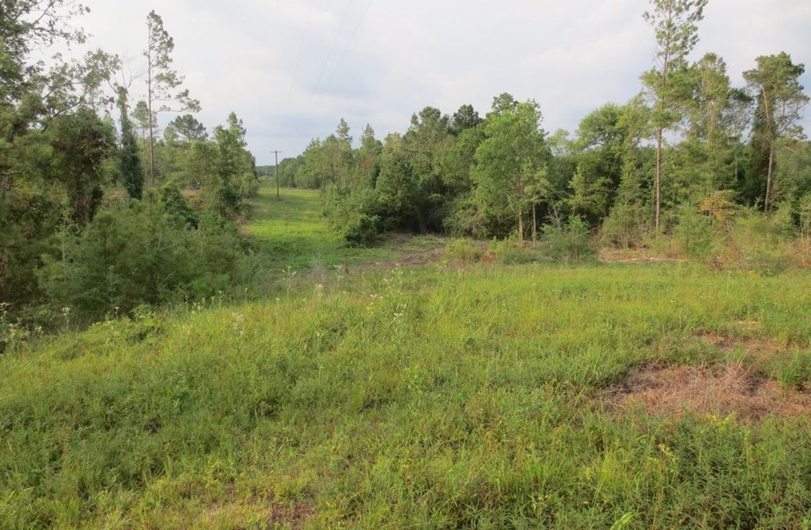 909C72A9-2752-44BB-A285-6A62B044A68D_1_105_c