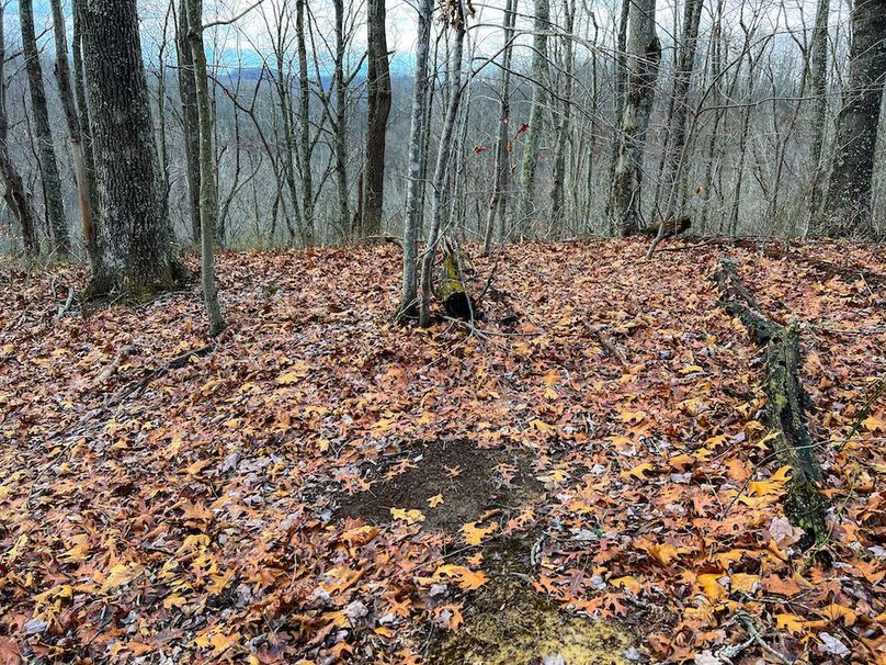 Calhoun, WV 225.69 AC Duffield-66