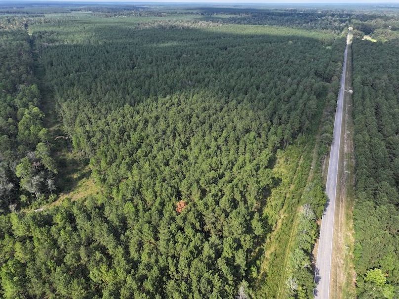 dji_fly_20250915_161516_0489_1758029006648_photo