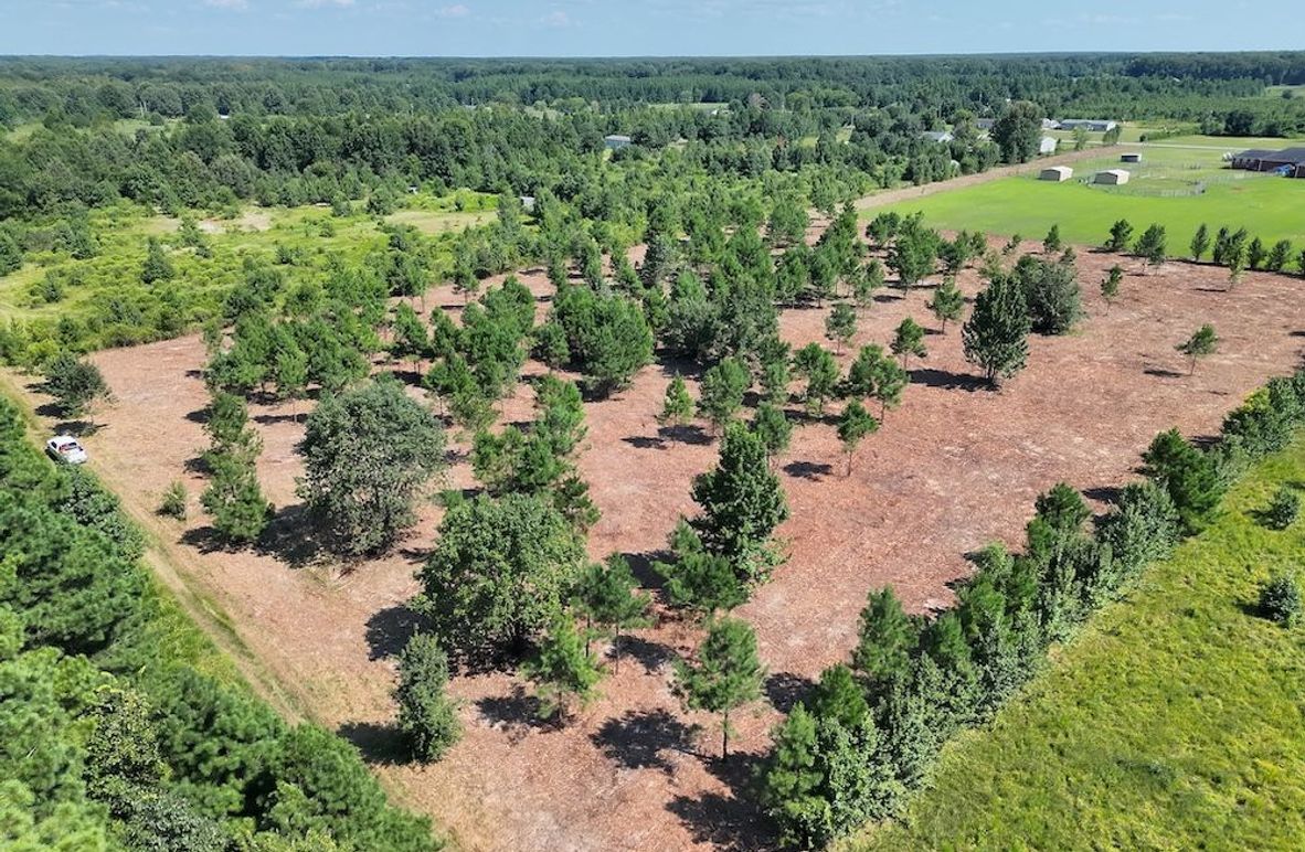 Lonoke Co 5_20250807_0002