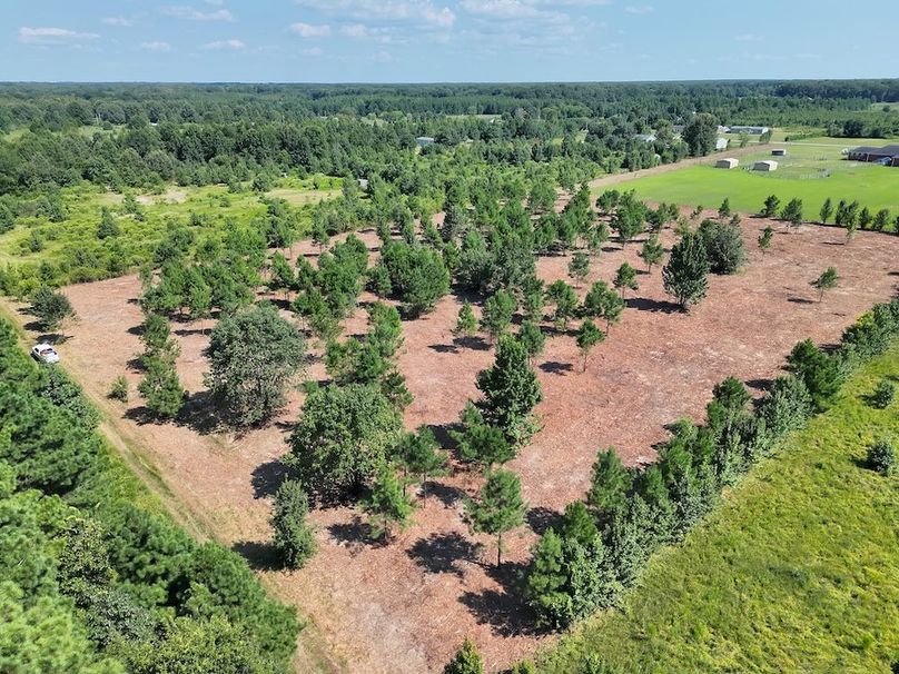 Lonoke Co 5_20250807_0002