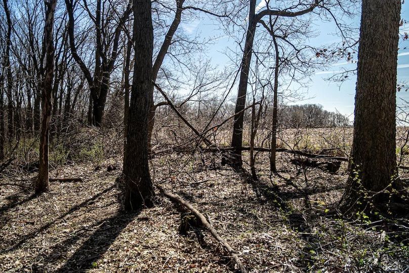 Jo Daviess IL 23.5_25