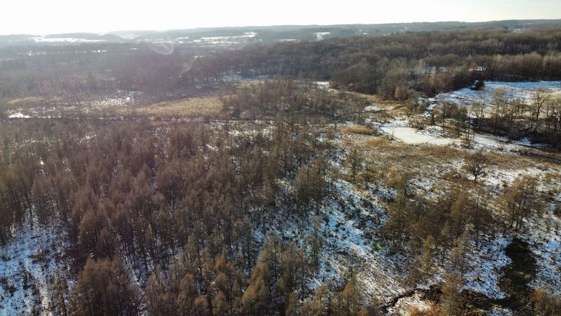 dji_fly_20240131_152854_917_1706897179627_photo_optimized