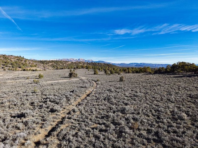 DJI_20260312092454_0156_D