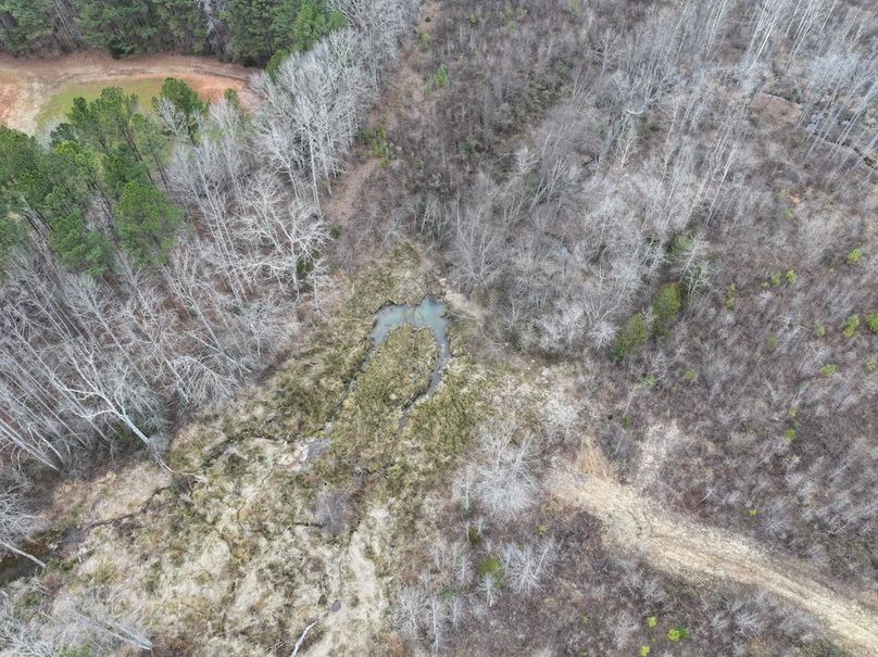 Copy of dji_fly_20251224_112742_0187_1767705797607_photo