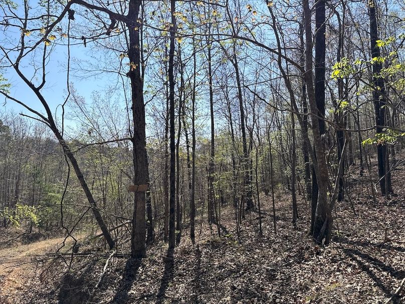 DJI_20260326_110625_985