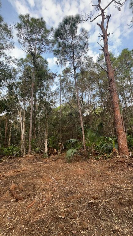 EA97B765-AA0C-42FB-BB7D-E93A353716EB