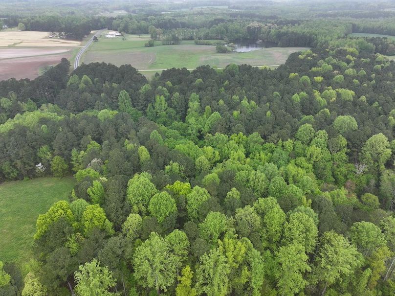 Copy of DJI_20250411111319_0033_D
