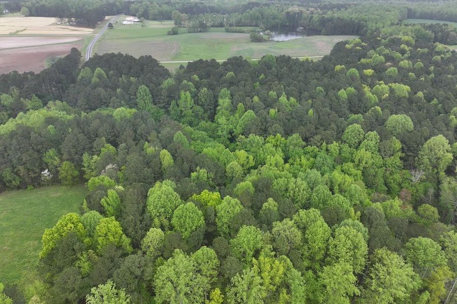 Copy of DJI_20250411111319_0033_D