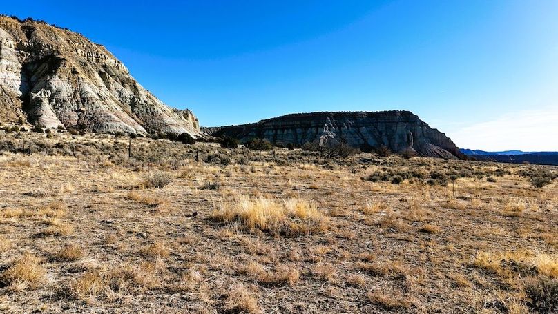 DJI_20241219101046_0040_D