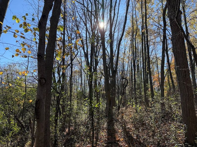 Wayne_18.11_Koehler Photo 9