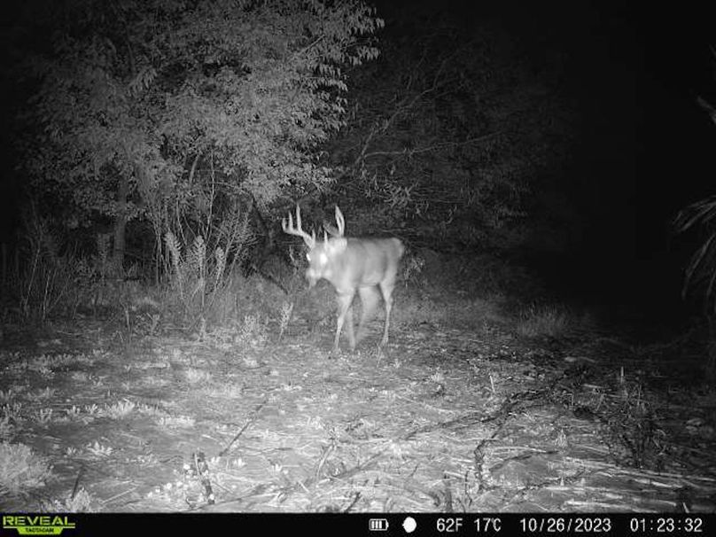 868032067149447-1-3-10262023012332-V-W1003190