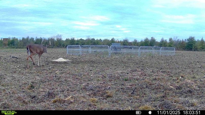 016579001081590-52-3-11012025180844-HD-SYFW01598