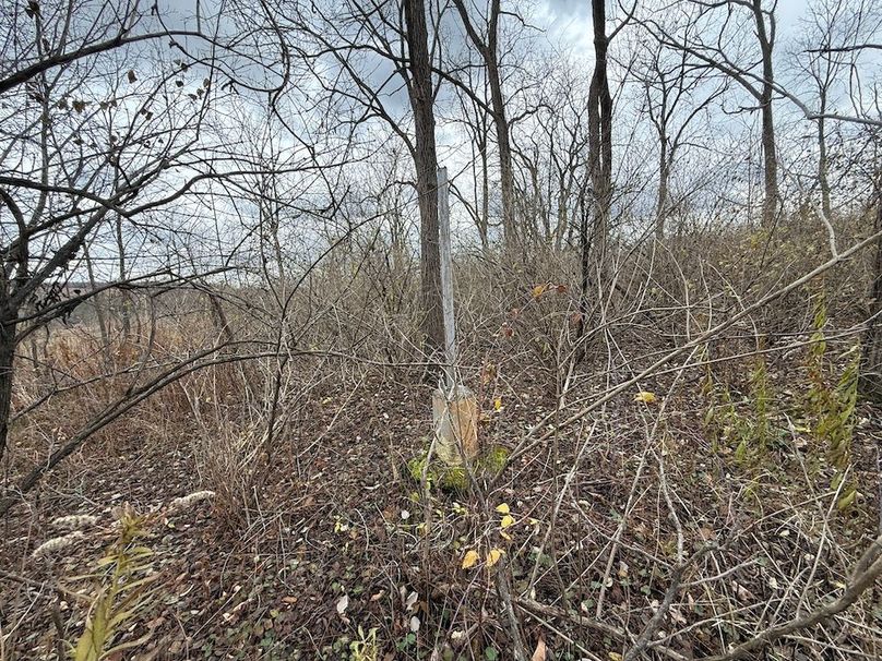 Tompkins_5.12_Galarza Photo 28