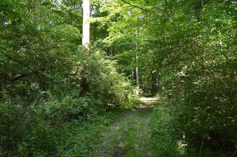 Trail along south property line