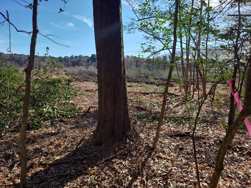 50.38ac_BethlehemRd_Caroline_Pic021