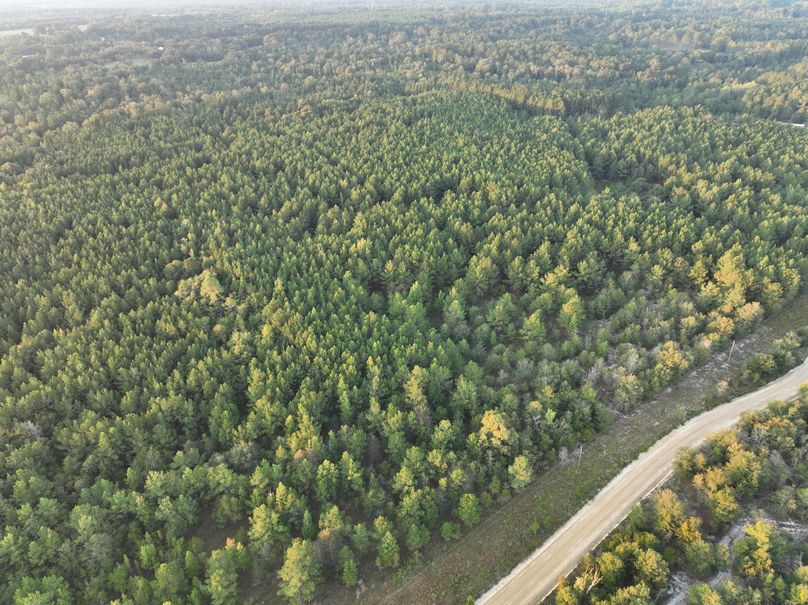 dji_fly_20230925_074144_738_1695642644258_photo