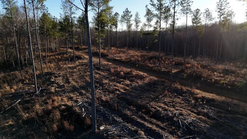 DRONE.00_18_12_20.Still044