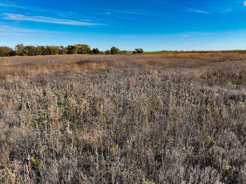 Dickinson Co, 154.5_037