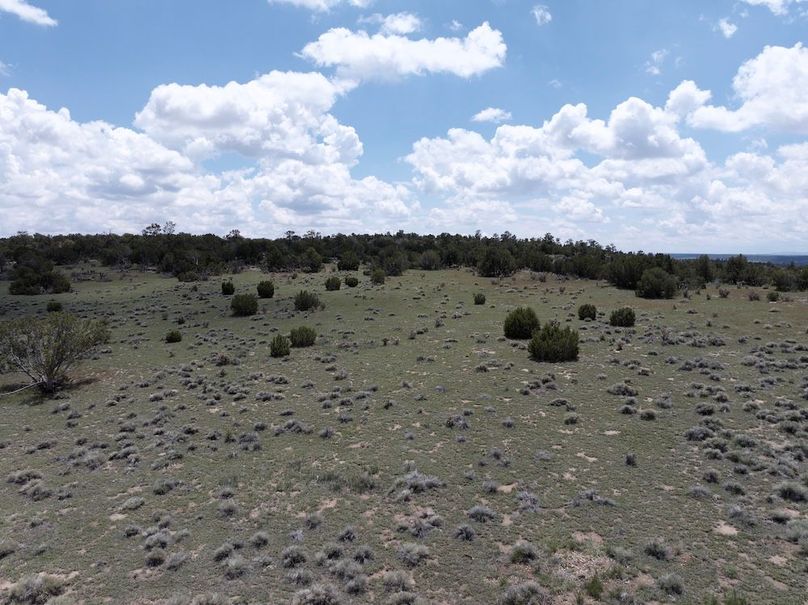 DJI_20250508124530_0065_D