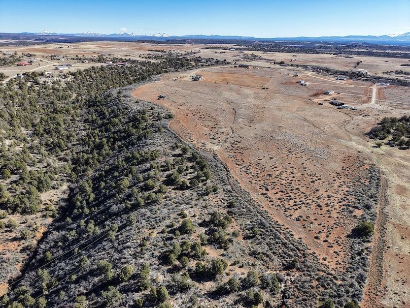 DJI_20260303094415_0049_D