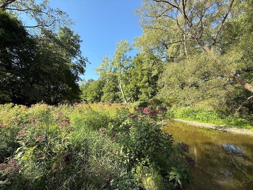 Cayuga_5.7_Cotten Photo 22