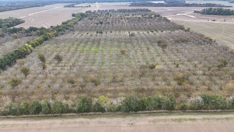 dji_fly_20251107_043204_0034_1762484044827_photo