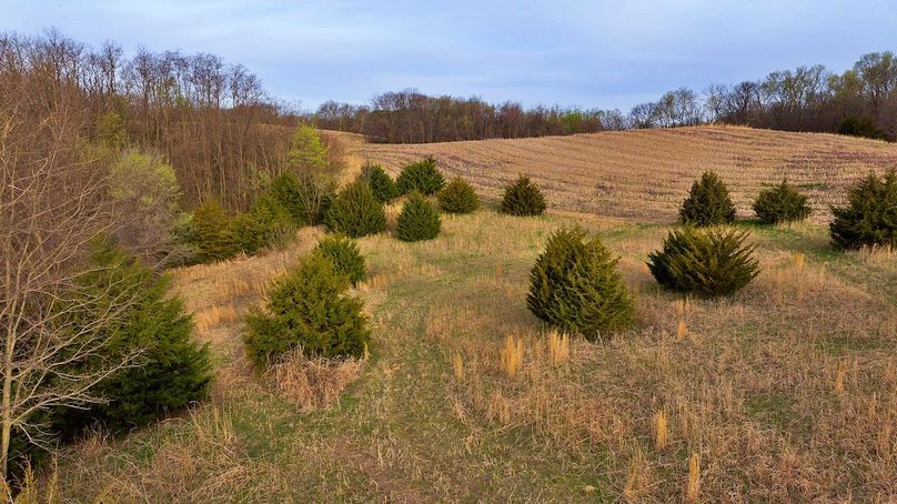 17 DJI_20250331080943_0626_D