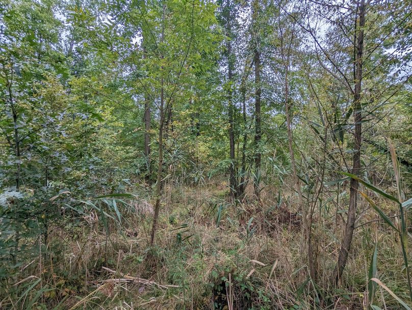 PXL_20230925_225231684