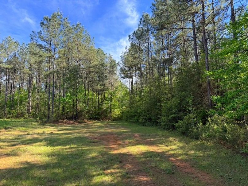 956DC65C-F9C4-45A8-BCB2-1530A74469E1_1_105_c