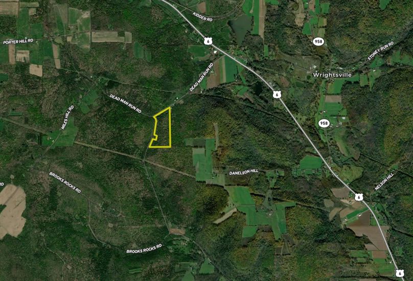 Screen Shot 2023-03-01 at 3.42.03 PM