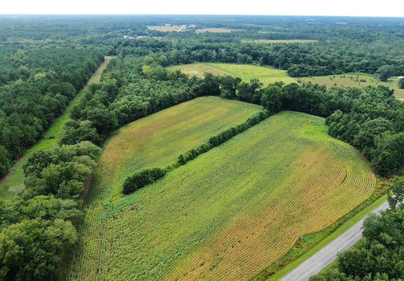 8120D6F5-84EB-4105-AB34-DD0683A5C17E