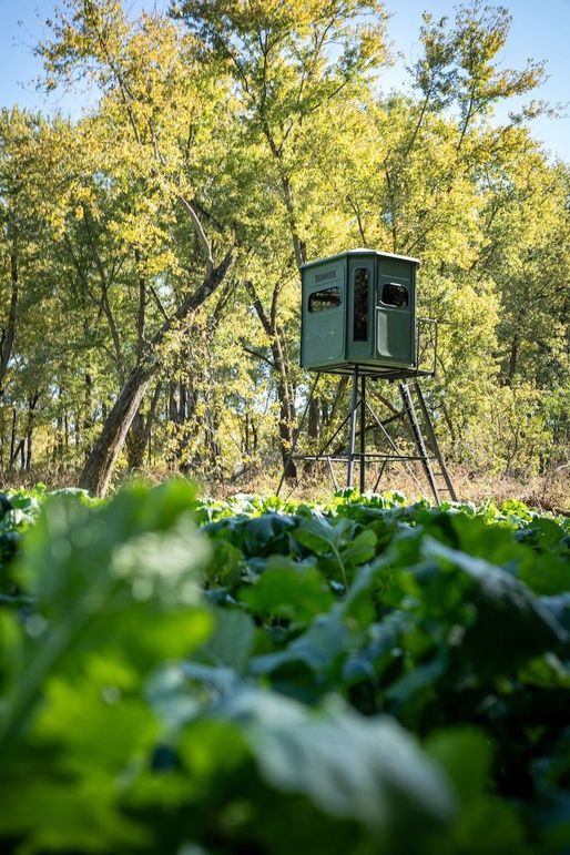 20241031_085805_946662