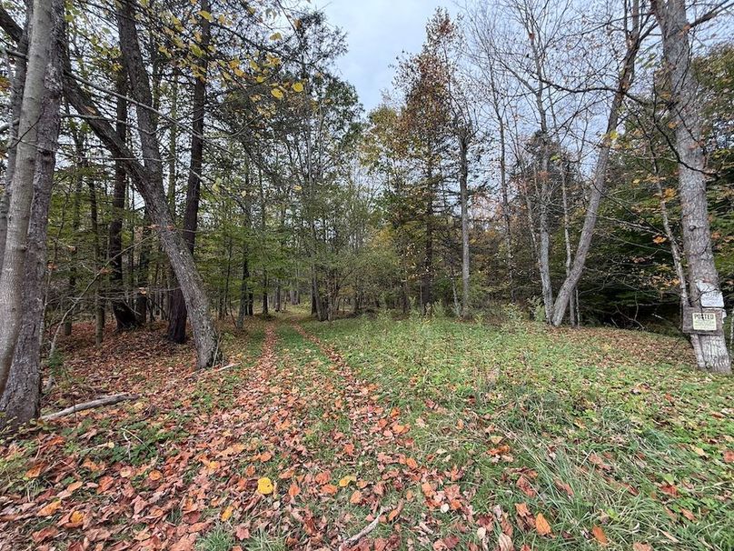 Chemung_184.12_Sterling 53