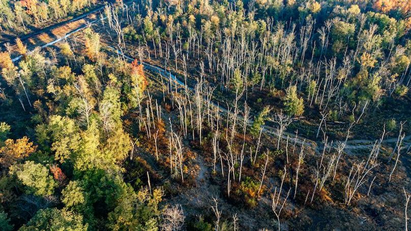 DJI_20251030191438_0010_D