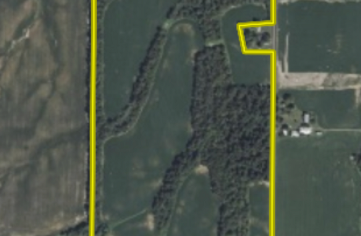 Screenshot 2025-07-27 at 10.11.57 AM