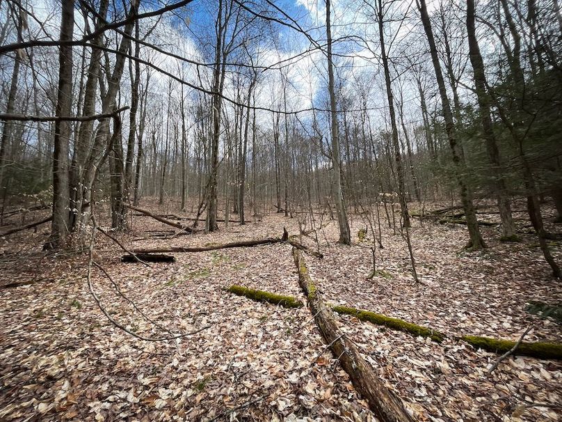 Tioga__NY_109.7_Burris_Photos_71